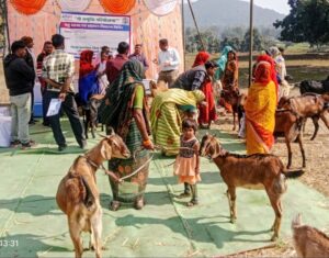 MP NEWS : अदाणी फाउंडेशन की ‘गौ समृद्धि परियोजना’ से सशक्त हो रहे ग्रामीण पशुपालक